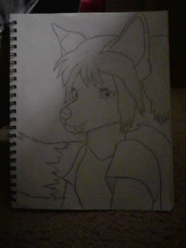 Wolf girl furry