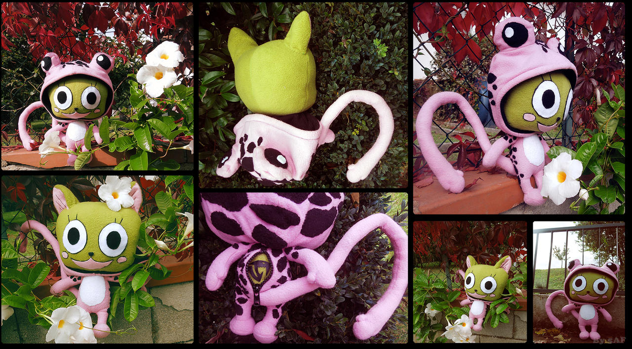 Fairy Tail Frosch By Nyankos On Deviantart Fairy Tail Frosch By Nyankos On Deviantart