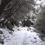 Taquitz Peak