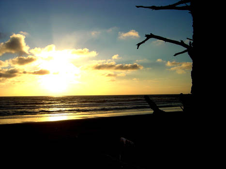 Sunset Oregon Coast