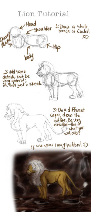 Lion Tutorial