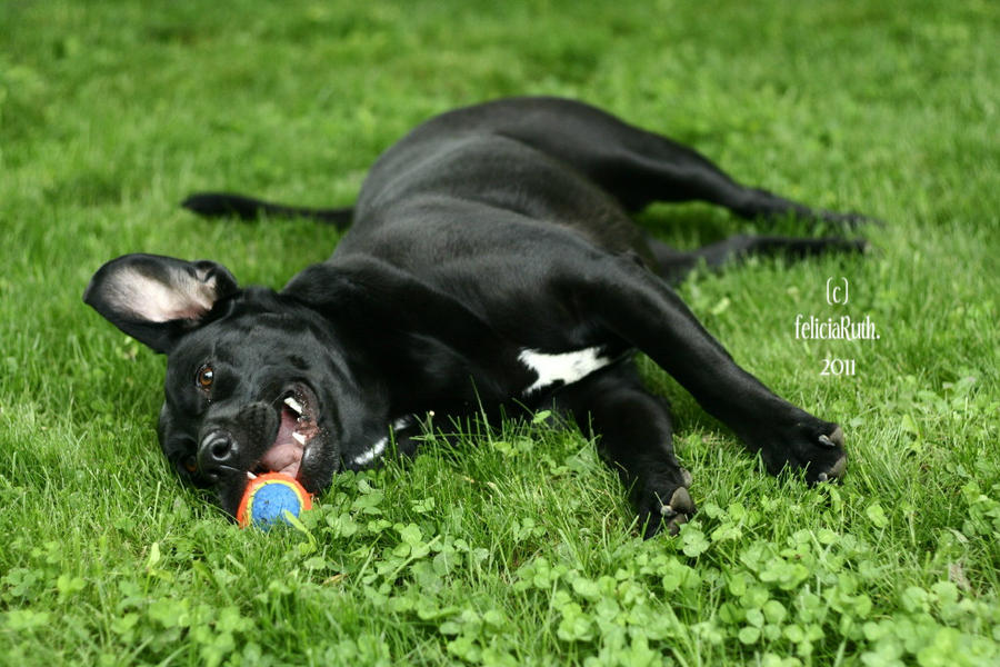 Rylee Love. by RightThird on DeviantArt