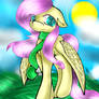 Fluttershy