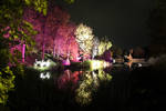 Autumn lights by Penni2