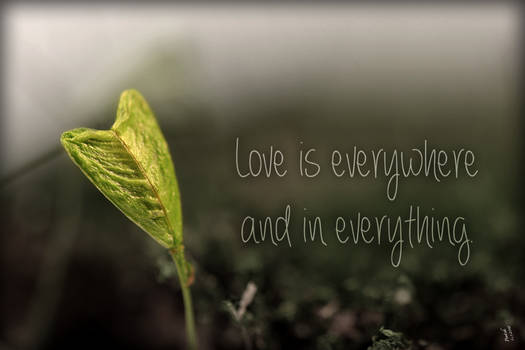 Love is everywhere and in everything.