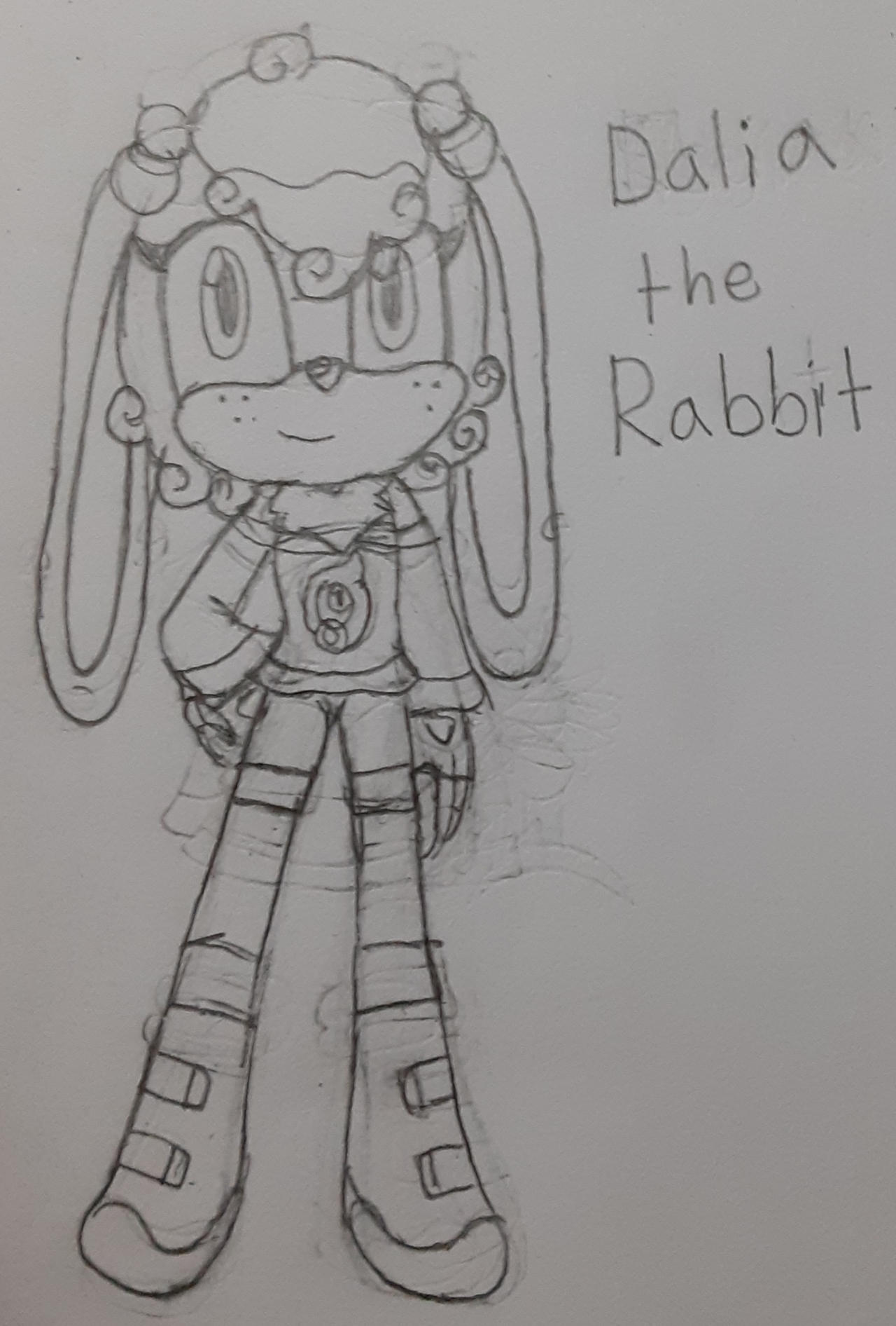 Sonic Rabbit Fan Character by chava1life on DeviantArt
