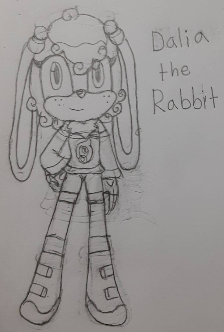 Sonic Rabbit Fan Character by chava1life on DeviantArt