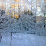 Icy curtain