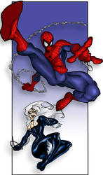 Spider Man Black Cat Colors