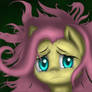 Fluttershy can't find Angel