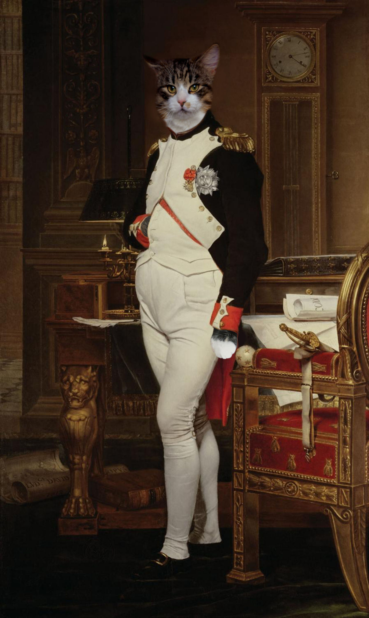 Napolean Tat Napoleon cat by ThinkerOfThoughts on DeviantArt