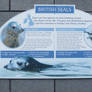 Seal information sign stock