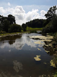 Upper Lake