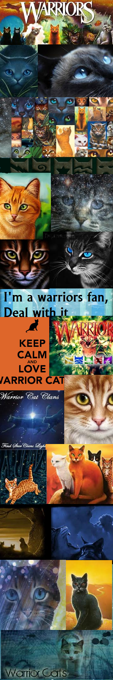 Warrior cats custom box free