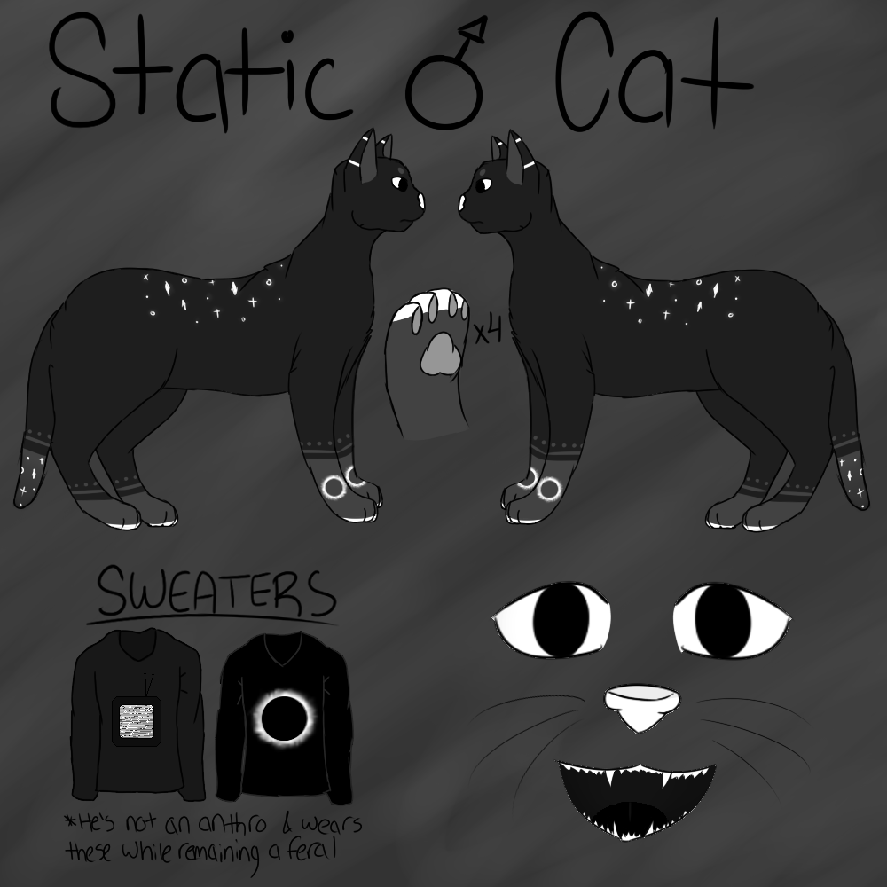 STATIC