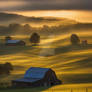 Morning Reverie