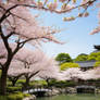 Tranquil Cherry Blossom