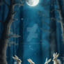 Moonlit Forest Dance