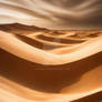 Dune Vortex