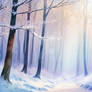 Enchanted Winter Forest