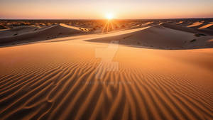 Dunes at Dusk