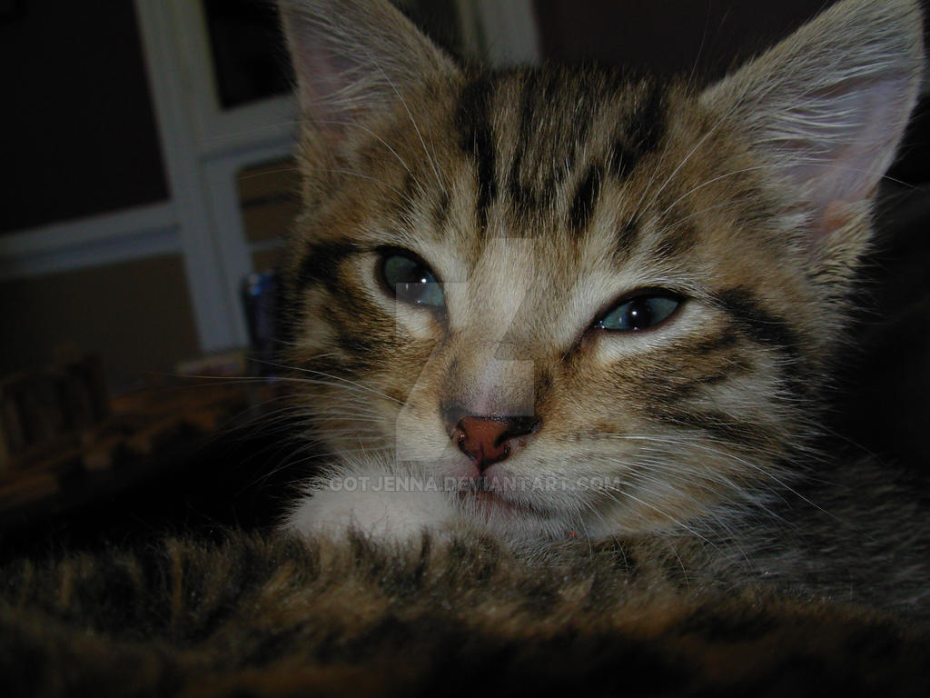 8 Weeks by gotjenna on DeviantArt