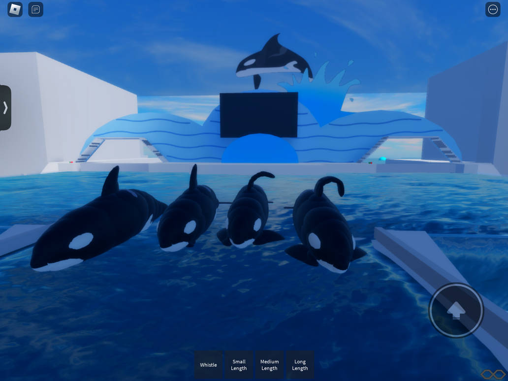 Meet Our AST:OS orca! (There not 4 there 25 or 26) by moophaxkokoro on ...