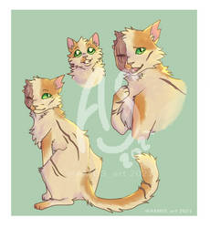 Brightheart