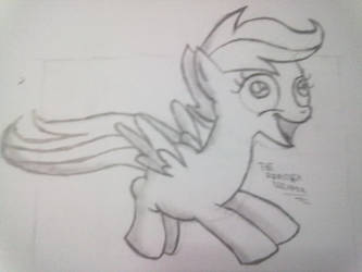 ERMAGERD Scootaloo (Hand-drawn)