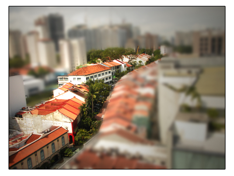 Roof garden Tilt shifted