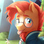 Sunburst