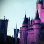 Magic Kingdom