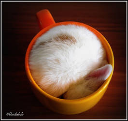 Cup of Bunny