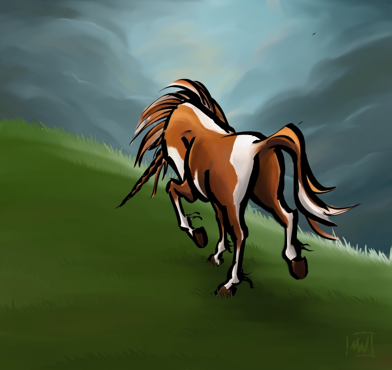 Paint Mare