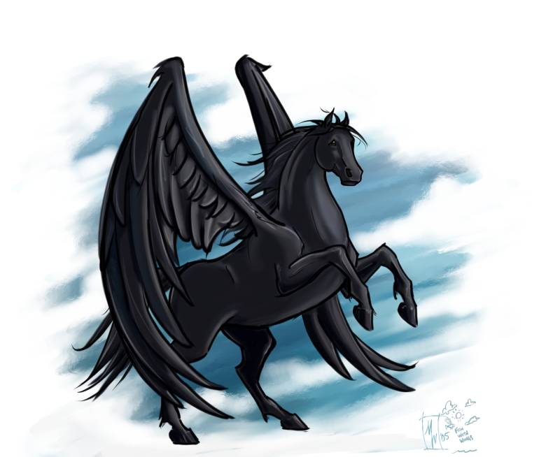 Black Pegasus