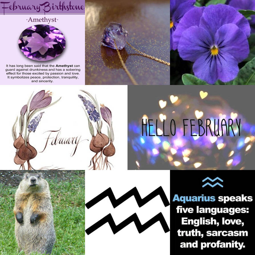 February Profile Month of February by GuardianoftheSnow on DeviantArt