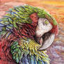 Shamrock Macaw