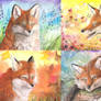 Four Foxy Seasons
