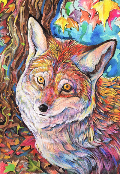 A Very Colourful Fox