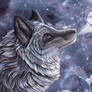 Silver Fox Moon