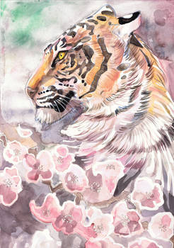 Tiger Blossom 3