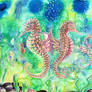 Seahorses