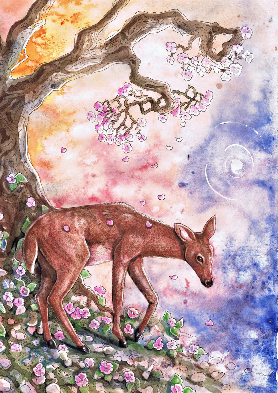 Spring Morning Doe by dawndelver on DeviantArt