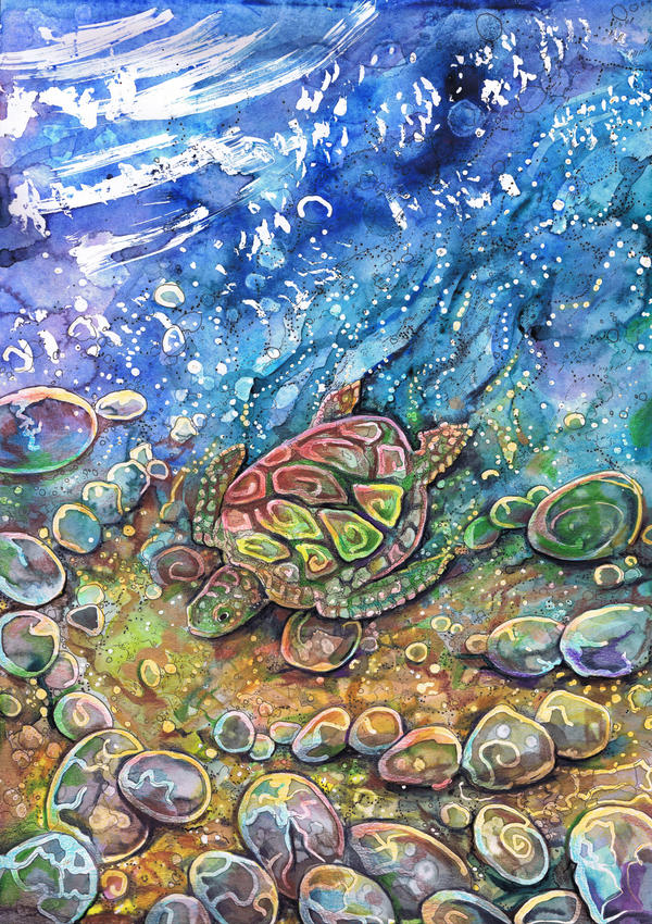 Little Turtle on Shore by dawndelver on DeviantArt