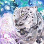 Snow Leopard and Blossom