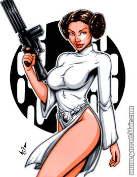 Leia ANH commission