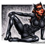 Catwoman DKR