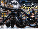 Catwoman BR Sketch Cover by gb2k