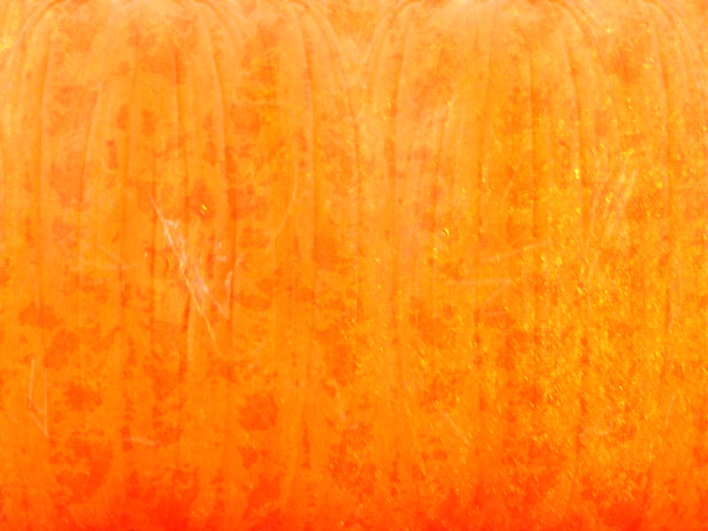 Pumplin Texture SRE-Design Texture test:Pumpkin texture by wakaflockaflame1 on DeviantArt