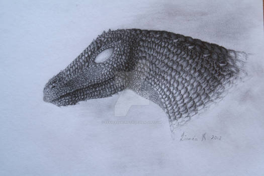 Dragon drawing